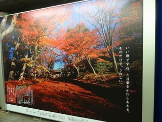 そうだ。京都行こう。